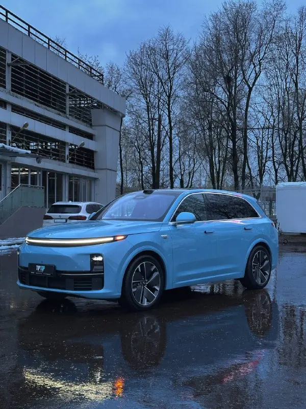Защита зон риска на кузове Li Auto L7