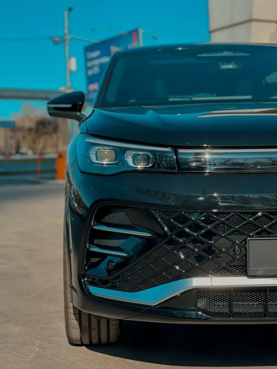 Volkswagen Tiguan L Pro: сетка за решёткой радиатора