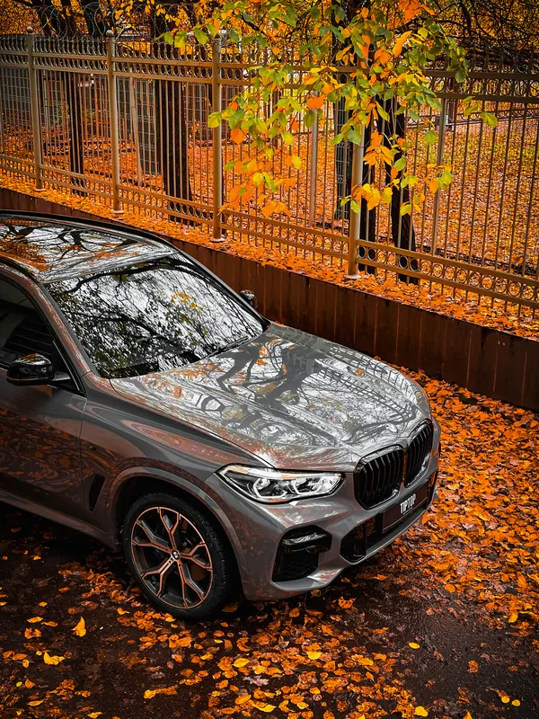 BMW X5. Bernina Gray на капоте и крыльях