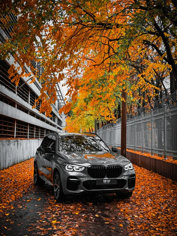 BMW X5. Чёрные решётка и молдинги на сером кузове
