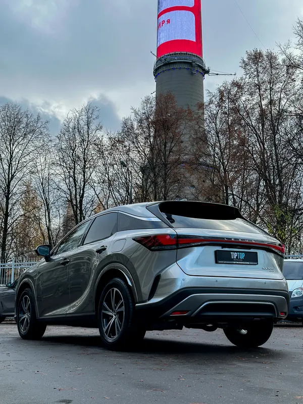 Lexus RX 300. Задняя полусфера после тонировки